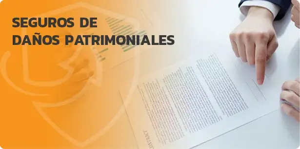 PERSONAL BROKERS | Seguros Personales, Seguros Daños Patrimoniales Y ...